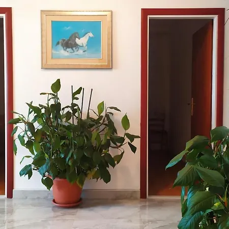 Apartman Nina Makarska Exterior photo