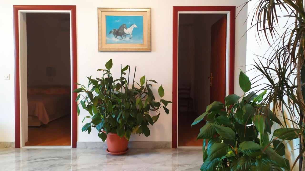Apartment Nina *